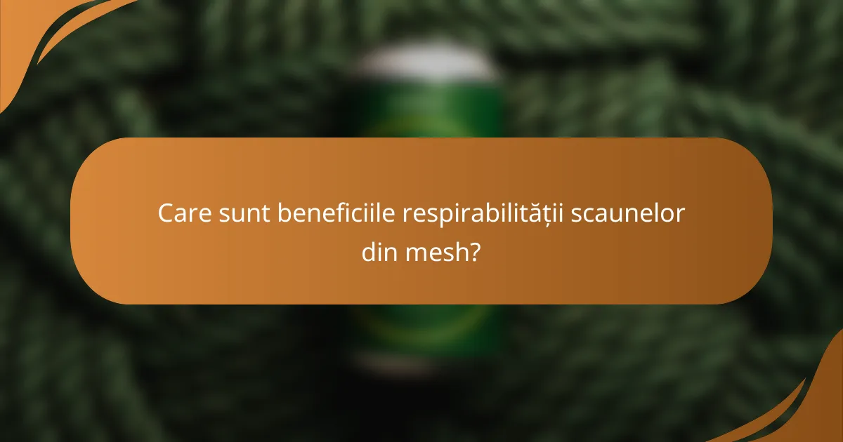 Care sunt beneficiile respirabilității scaunelor din mesh?
