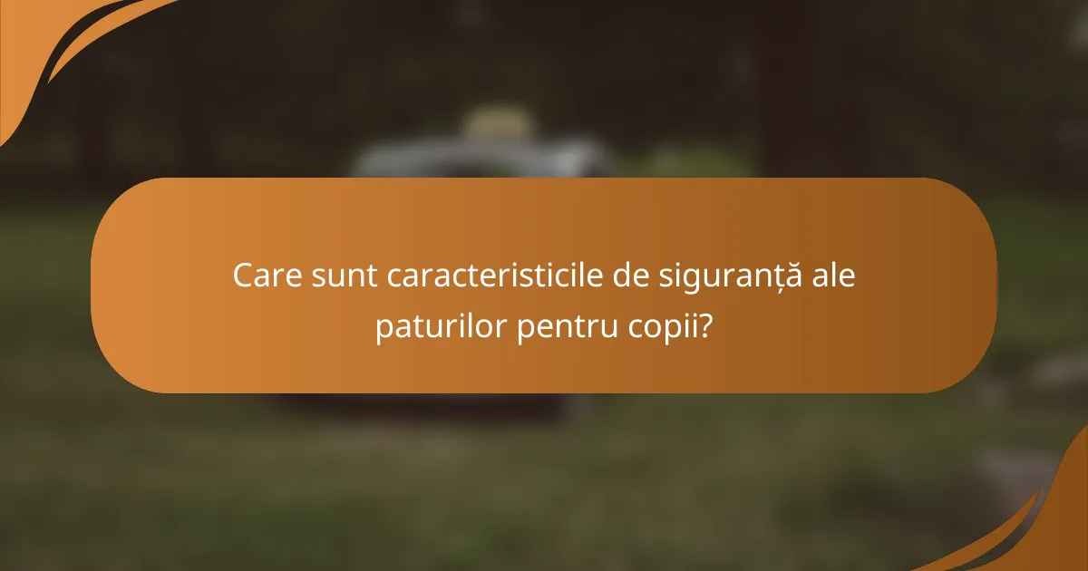 Care sunt caracteristicile de siguranță ale paturilor pentru copii?