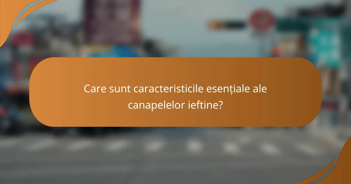 Care sunt caracteristicile esențiale ale canapelelor ieftine?