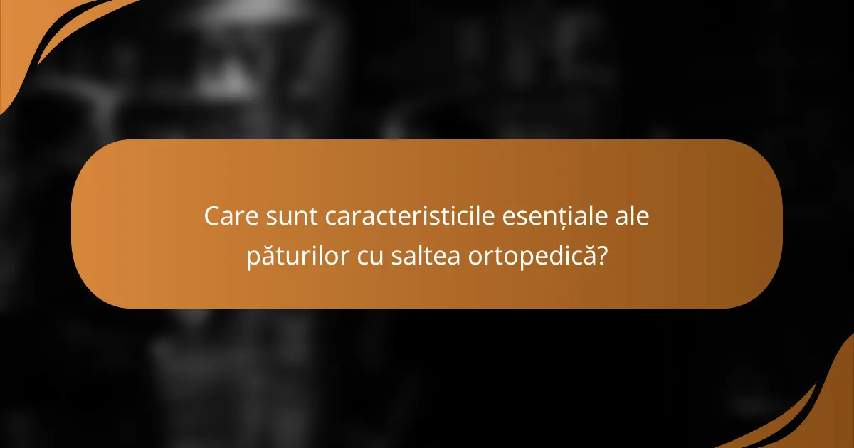 Care sunt caracteristicile esențiale ale păturilor cu saltea ortopedică?