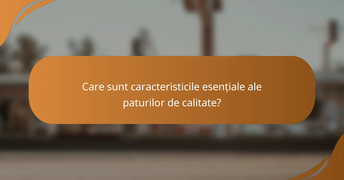 Care sunt caracteristicile esențiale ale paturilor de calitate?