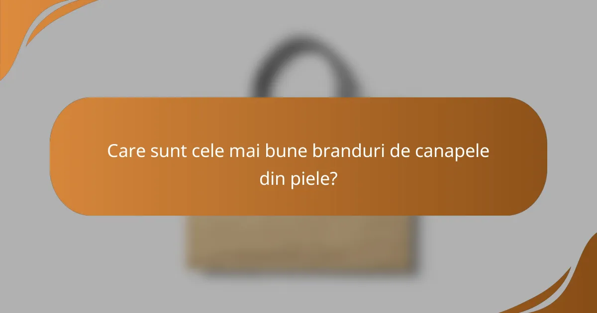 Care sunt cele mai bune branduri de canapele din piele?