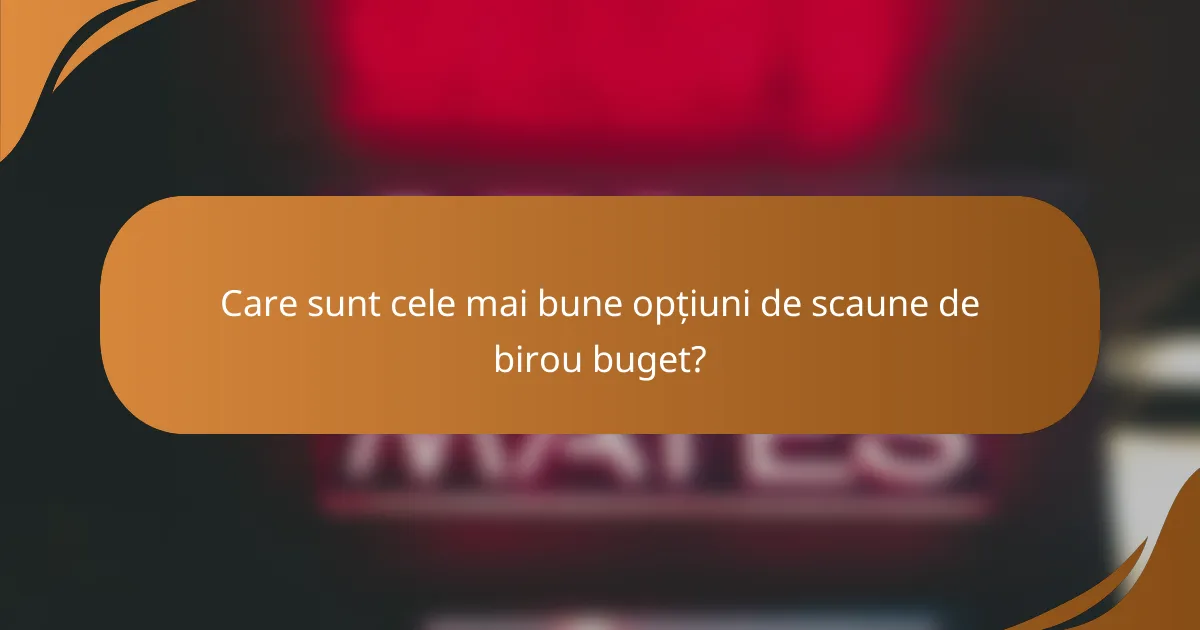 Care sunt cele mai bune opțiuni de scaune de birou buget?