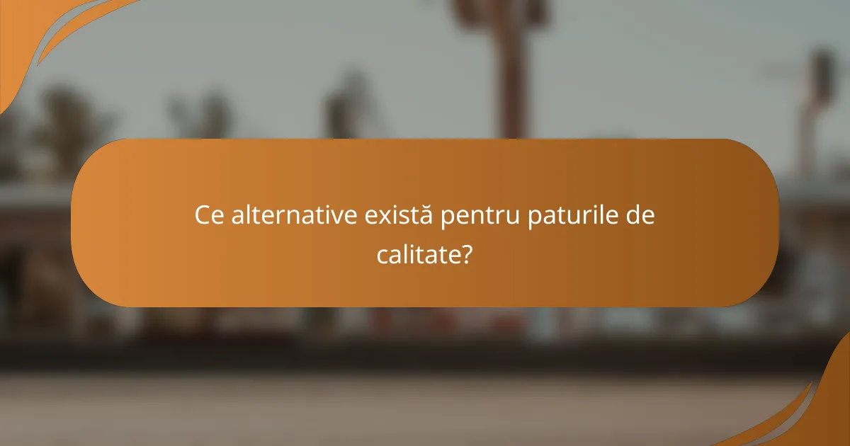 Ce alternative există pentru paturile de calitate?