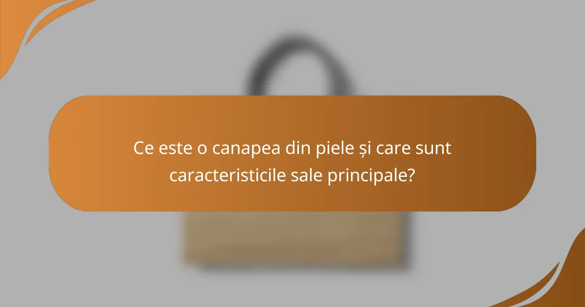 Ce este o canapea din piele și care sunt caracteristicile sale principale?