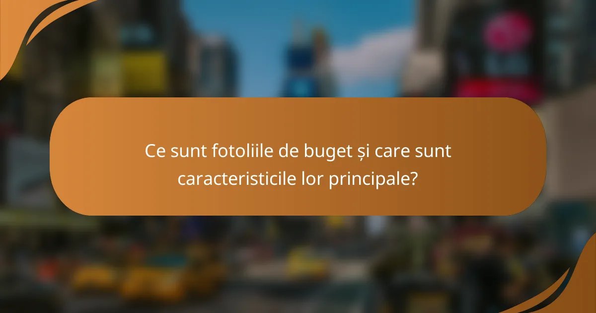 Ce sunt fotoliile de buget și care sunt caracteristicile lor principale?