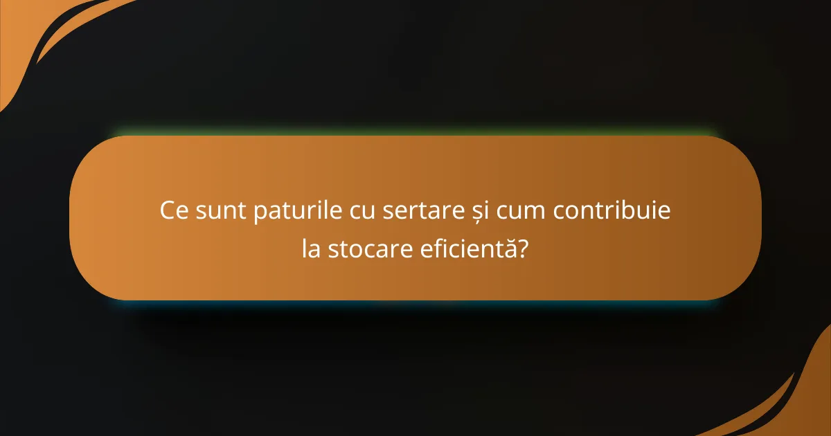 Ce sunt paturile cu sertare și cum contribuie la stocare eficientă?