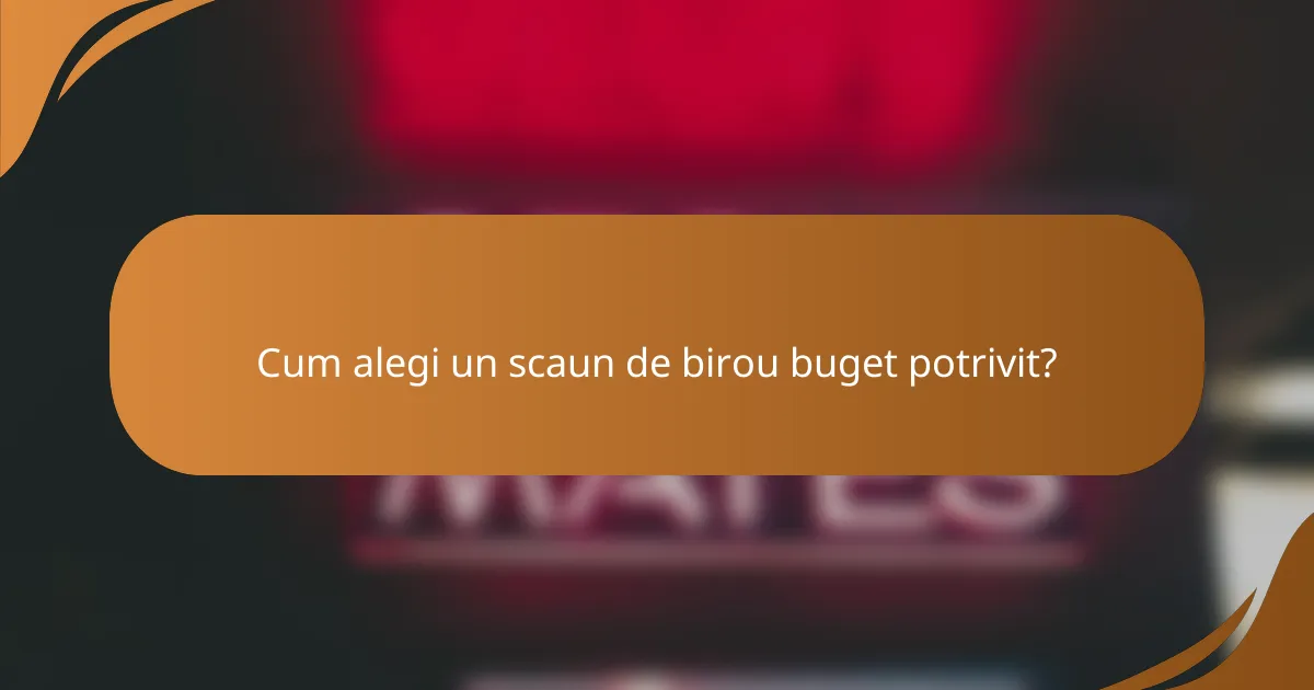 Cum alegi un scaun de birou buget potrivit?