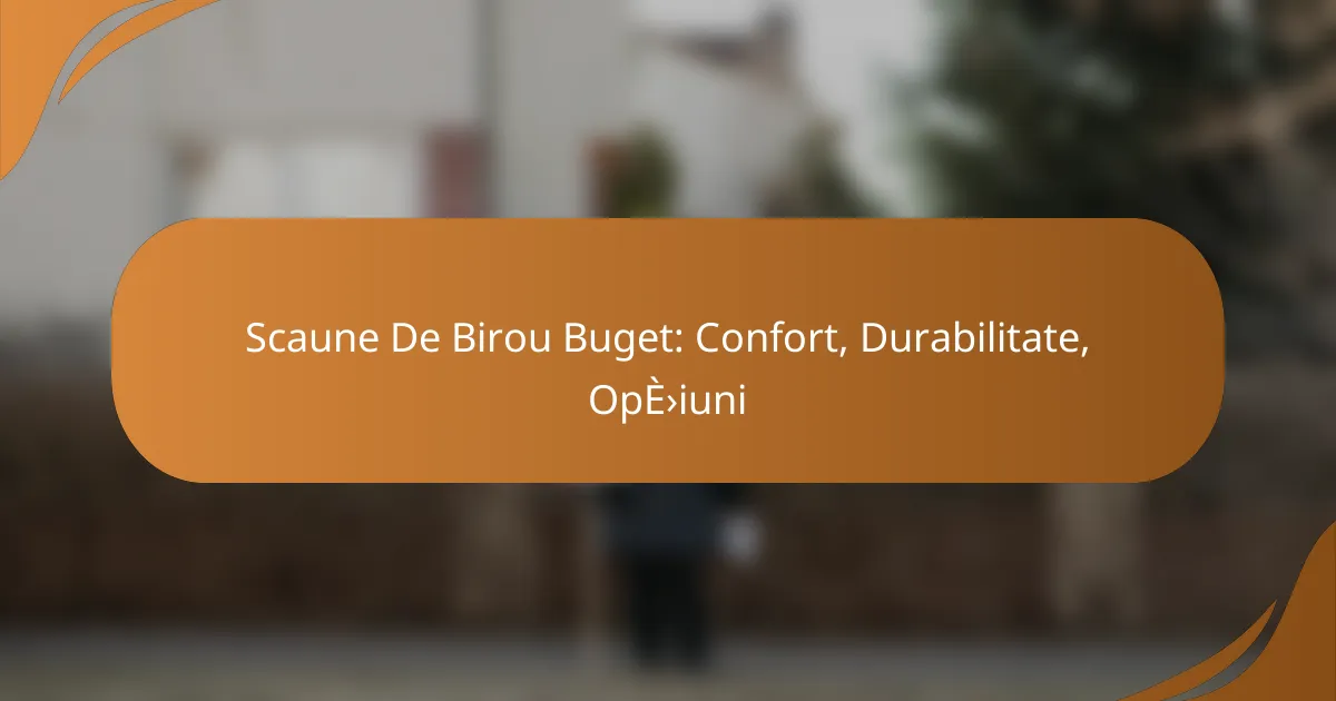 Scaune De Birou Buget: Confort, Durabilitate, Opțiuni